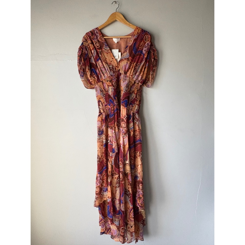 NWT A.L.C. Lucia Paisley Terracotta Midi Maxi Dress Size 8 - Picture 3 of 7